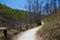 Trail in the mountain and forest.