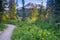 Trail near Mount Rainier, Washington