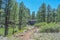 A trail near the San Francisco Peaks in the Arizona Pine Forest mountainous region. Near Flagstaff, Coconino County, Arizona Unite