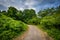 Trail at Odiorne Point State Park, in Rye, New Hampshire.