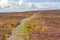 Trail over Knocknarea mountain