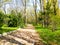 Trail in the park with benches.