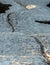 Trail Passes Through Dirty Snow Field In Summer