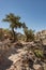 Trail Passes Through Two Lone Trees In Desert