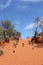 Trail in red sand dunes in the Red Centre, Australia