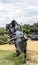 Trail rider riding after a longhorn cow