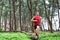 Trail runner man athlete running through forest nature on path sprinting jumping over wood. Sport sprinter active doing high