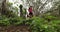 Trail runner - Woman running in forest by banyan tree training and working out