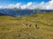 Trail running group runs over the Pischagrat mountain ridge above Davos Klosters Mountains, Switzerland. Trailrunning