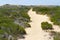 Trail, sand and vegetation in Arrifana