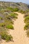 Trail, sand and vegetation in Arrifana