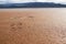 Trail Of Shoe Footprints Walking Through Damp Beach Landscape