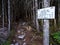 Trail Sign, Mahoosuc Trail, Appalachian Trail in Dark Woods