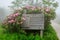 Trail Sign Roan Mountain Tennessee North Carolina Fog