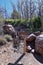 Trail Signs hiking along Mount Olympus Trail in the Wasatch National Forest, Salt Lake City, Utah, United States,