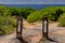 Trail Signs With White Straight Ahead Arrows on Posts Pointing Towards Ocean Water and Island in the Distance