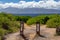 Trail Signs With White Straight Ahead Arrows on Posts Pointing Towards Ocean Water and Island in the Distance