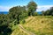 Trail on a slope overlooking the Baltic Sea. In Lohme on the island of RÃ¼gen