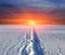 Trail on snow on sunset background