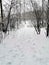 Trail of steps in snowy forest