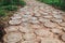 Trail of the stumps of trees felled.