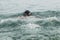Trail swimmer on the sea surface. Background