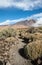Trail on the Teide National Park in Tenerife Spain