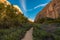 Trail to Calf Creek Falls