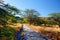 A trail to Diamond Head crater viewpoint on Oahu