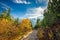 Trail to Hala Gasienicowa, Tatra mountains, Poland