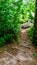 A Trail To A Hidden Picnic Table Area In Tolmie State Park Nisqually, Washington