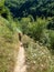 The trail to Inelet and Scarisoara hamlets, Romania