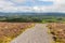 Trail to Knocknarea mountain