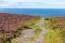 Trail to Knocknarea mountain with ocean in background