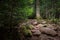 Trail to Lonesome Lake, White Mountains