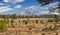 Trail to Scholz Lake in Northern, Arizona