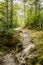 On the trail to the South East Brooke Falls, Grose morne National Park, Newfoundland, Canada