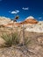 Trail to The Toadstools in Southern Utah