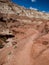 Trail to The Toadstools in Southern Utah