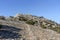 Trail to the top of the Falcon Sokol mountain. Crimea
