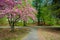 Trail and trees at Edgewood Park in New Haven, Connecticut