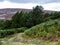 Trail up to Bamford Edge, Peak District, U.K.