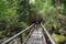 Trail at the Vicente Perez Rosales National Park, Chile