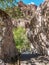 Trail Through Whitewater Canyon