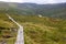 Trail in Wicklow mountain with wild deer