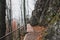 Trail and wooden masonry in the autumn forest among the mountains