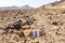 Trailblazing trail marker sign marking backpackers walking stone