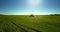 Trailed sprayer drives to horizon on vast green field