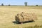 Trailer full of straw bales in the field
