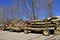 Trailers loaded with tree trunks